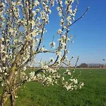 De Brembroeken