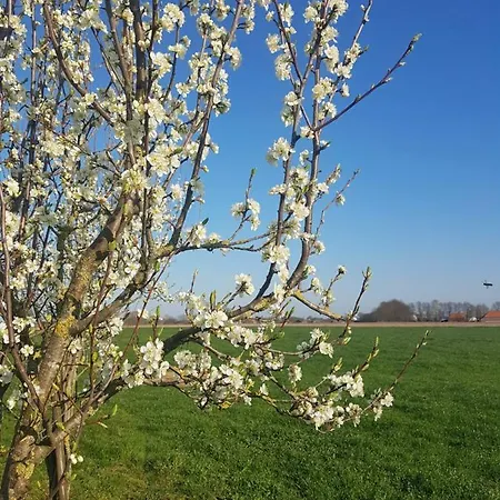De Brembroeken