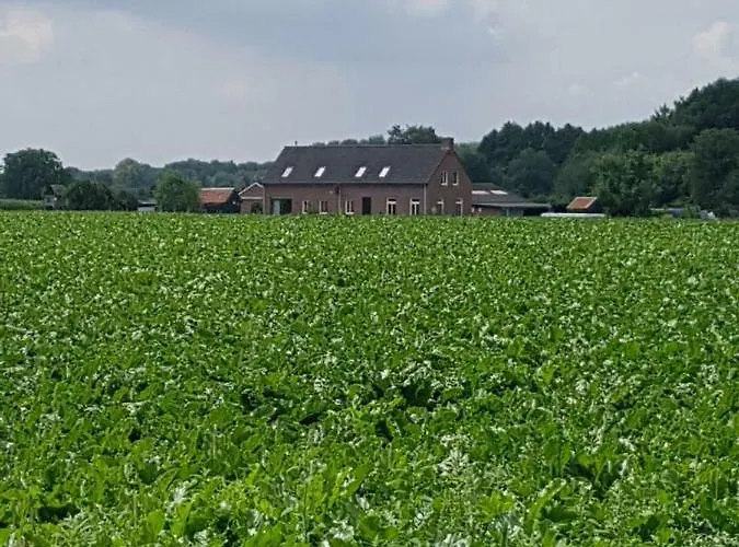 De Brembroeken * Vortum-Mullem