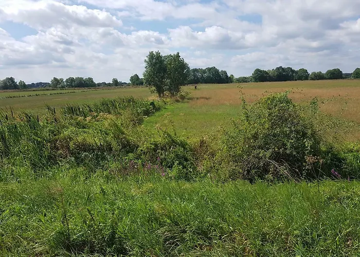 De Brembroeken Affittacamere Vortum-Mullem