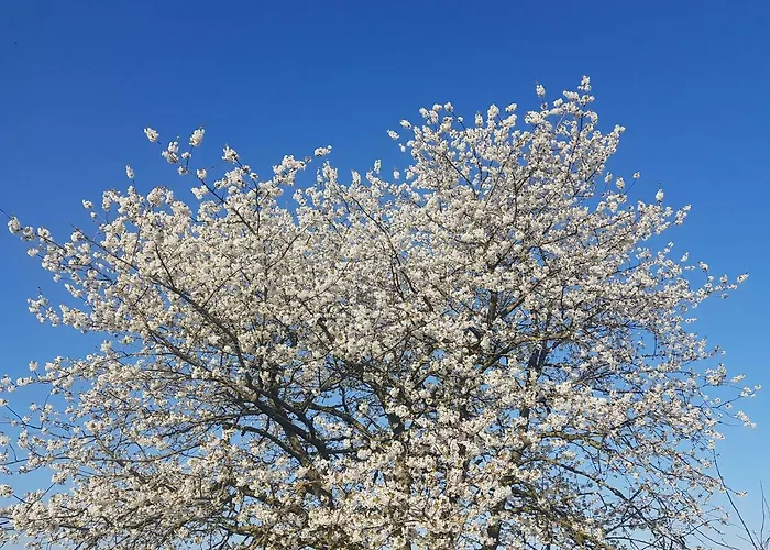 Affittacamere De Brembroeken Vortum-Mullem