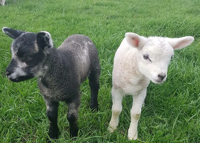 게스트하우스 De Brembroeken Vortum-Mullem