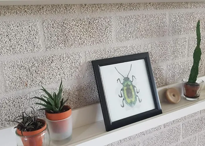 De Brembroeken Affittacamere