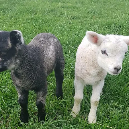 Vendégház De Brembroeken Vortum-Mullem