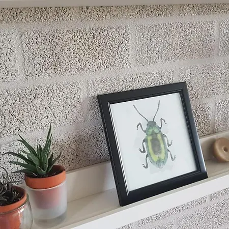 De Brembroeken Guest house